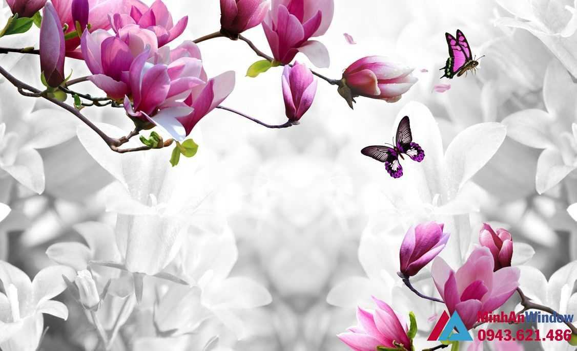 Image329 Optimized