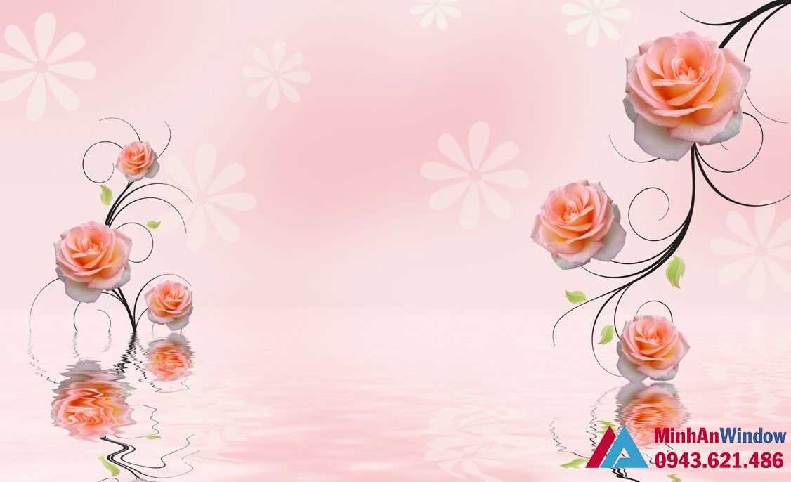 Image339 Optimized