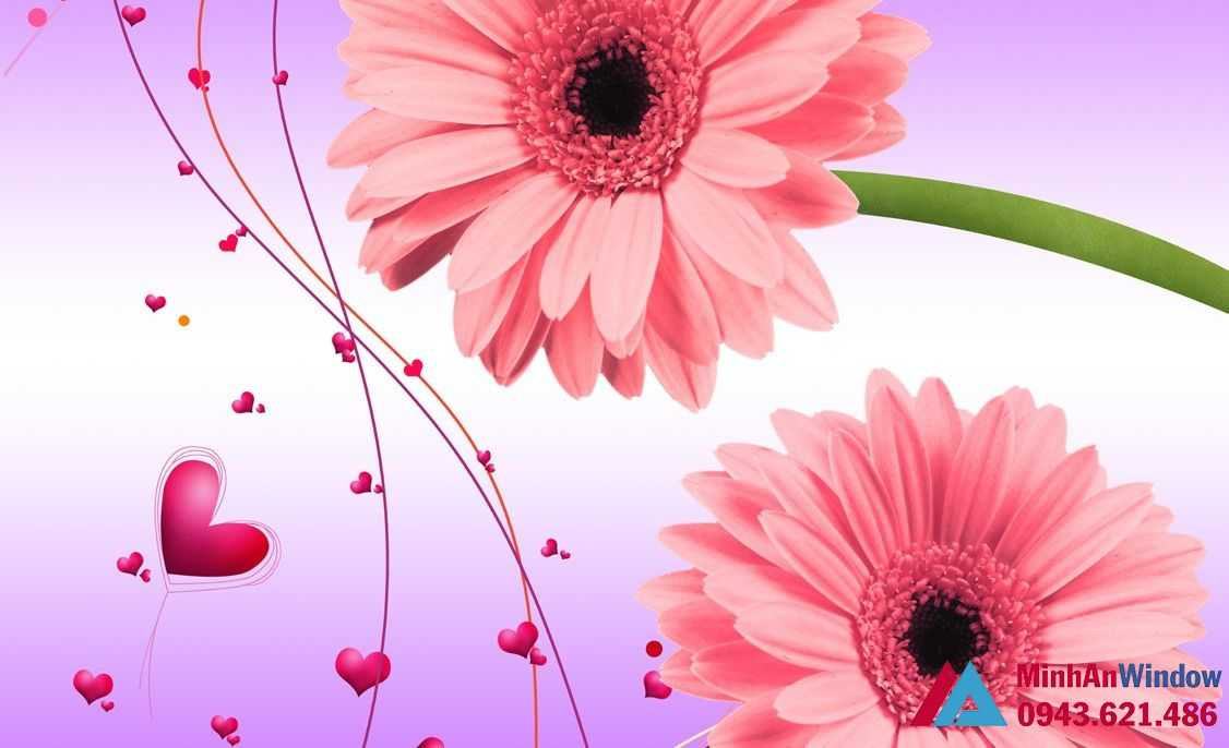 Image351 Optimized